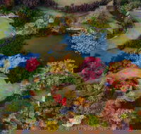 Glenrock Gardens Open Garden - Hotel Gold Coast