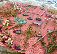 Introduction to Paper Making - Hotel Gold Coast