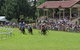 Tumut Boxing Day Races - thumb 0