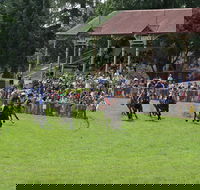 Tumut Boxing Day Races - Hotel Gold Coast