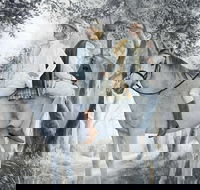 As You Like It - Hotel Gold Coast