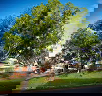 Big Bat Wildlife and Eco Festival - Hotel Gold Coast
