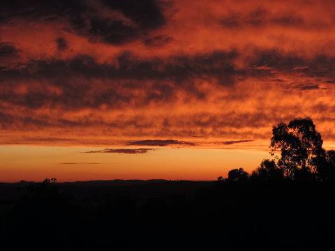 Father's Day At Cottontail Wines - Hotel Gold Coast 0