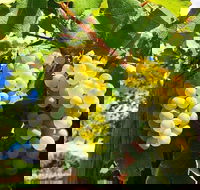 GetawaysSA Bringing Barossa To Your Door - Hotel Gold Coast