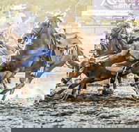 Gundagai Rodeo - Hotel Gold Coast