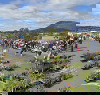 Hobart Showground Sunday Market - Weekly - Hotel Gold Coast