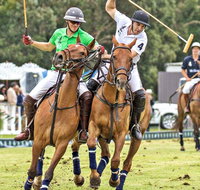 Land Rover Polo in the City - Hotel Gold Coast
