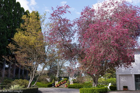 Leura Gardens Festival - Cancelled - Hotel Gold Coast 0