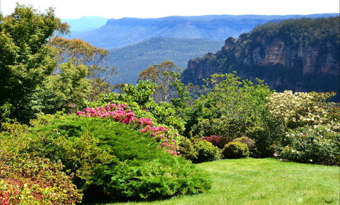 Leura Gardens Festival - Cancelled - Hotel Gold Coast 1