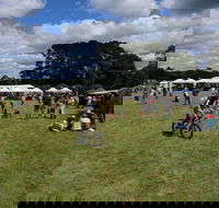 Majors Creek Festival - Hotel Gold Coast