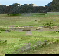 Mount Gambier and District Pony Club Horse Trials 2020 - Hotel Gold Coast