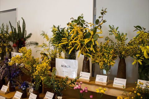 Pomonal Native Flower Show - Hotel Gold Coast 0