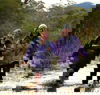 Serra Terror - Hotel Gold Coast