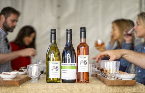 Southern Highlands Food And Wine Festival - Hotel Gold Coast 2