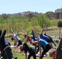 Yoga in the Vines - Hotel Gold Coast