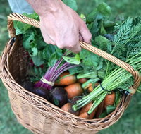 Orange Farmers Market - Hotel Gold Coast