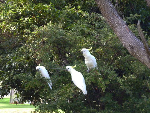 Coachman's Eden - Hotel Gold Coast 5