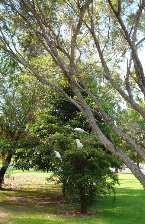 Coachman's Eden - Hotel Gold Coast 4