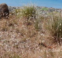 Schouten House - Hotel Gold Coast