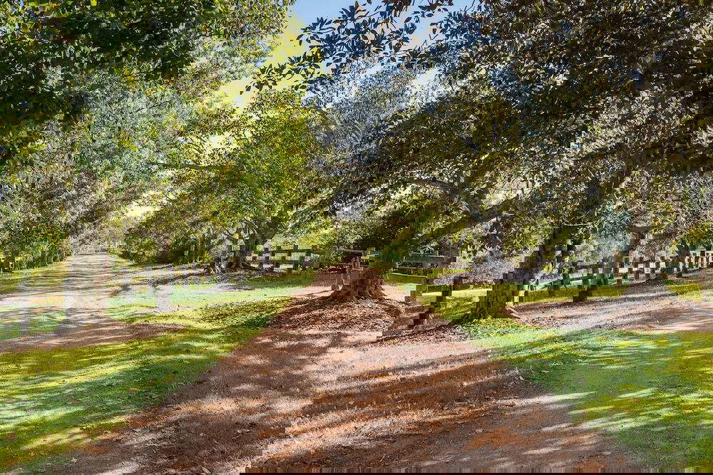 Ashwell QLD Hotel Gold Coast