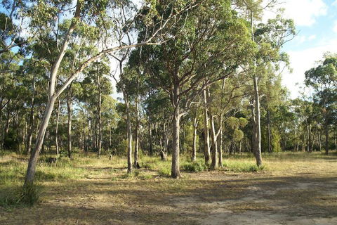 Hobart Bush Cabins - Hotel Gold Coast 2