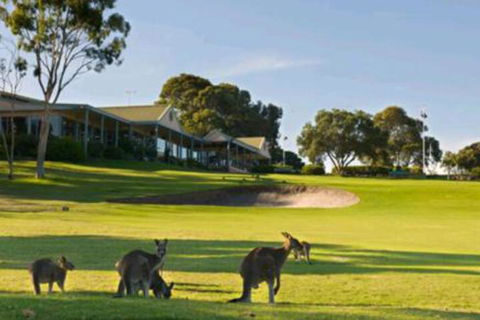 Early Settlers Motel Tocumwal - Hotel Gold Coast 6