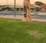 Lake Albert Motel - Hotel Gold Coast