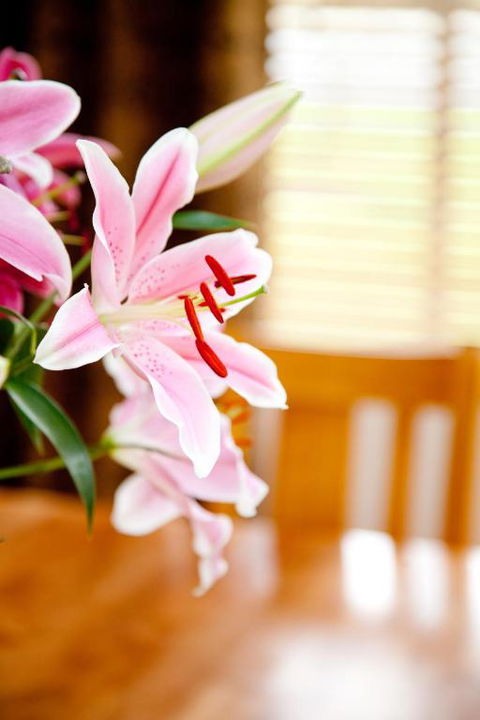 Ocean Mist Villa - Hotel Gold Coast 6