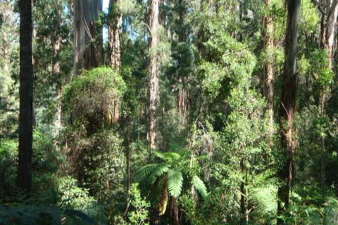 SIGNAL BOX Short Stay - Hotel Gold Coast 3