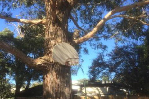 Inverloch Motel - Hotel Gold Coast 5