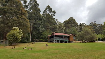 Walpole Wilderness Resort - Hotel Gold Coast 5