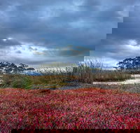 Saintys Creek Cottage - Hotel Gold Coast