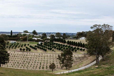 Rivendell East Gippsland - Hotel Gold Coast 6
