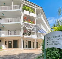 214 Spindle Cowrie - Hotel Gold Coast