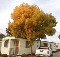 Wodonga Caravan  Cabin Park - Hotel Gold Coast