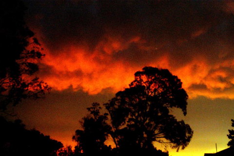 Taits Place Vineyard B & B - Hotel Gold Coast 2