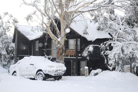 Milkwood - Hotel Gold Coast 1