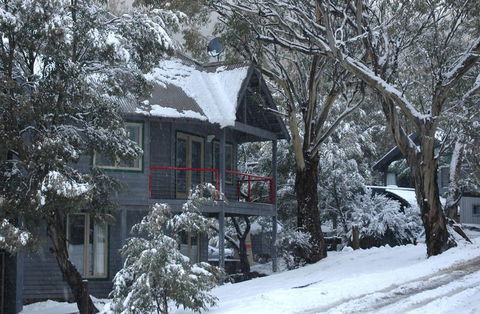 Milkwood - Hotel Gold Coast 3