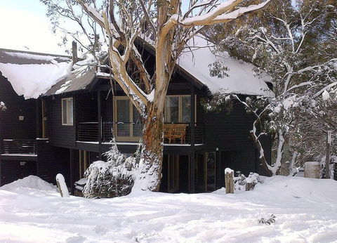 Milkwood - Hotel Gold Coast 4