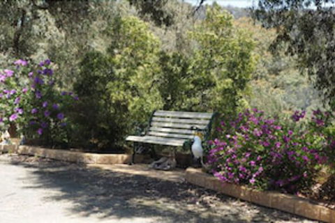 Wild Cherry Bed & Breakfast - Hotel Gold Coast 3