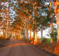 Innisfree Mountain Retreat - Hotel Gold Coast