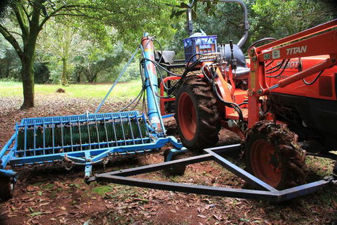 Terania Creek Farmstay - Hotel Gold Coast 4