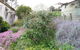 Alvie Cottage - thumb 1