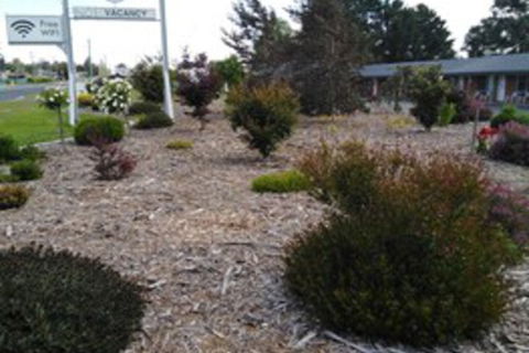 Altona Motel - Hotel Gold Coast 0