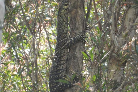 The Lodge Mapleton Falls - Hotel Gold Coast 5