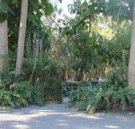 Avoca Park - Hotel Gold Coast