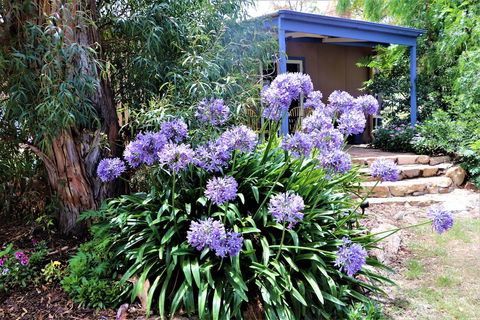A Stanthorpe Getaway - Hotel Gold Coast 4