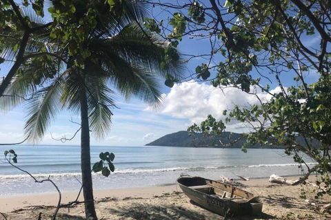 Daintree Rainforest Beach House - Hotel Gold Coast 4