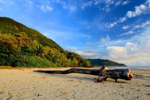 Daintree Rainforest Beach House - Hotel Gold Coast 7