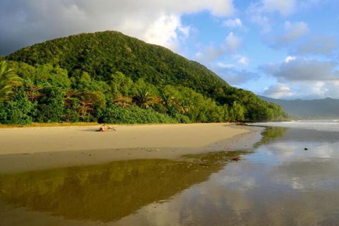 Daintree Rainforest Beach House - Hotel Gold Coast 5